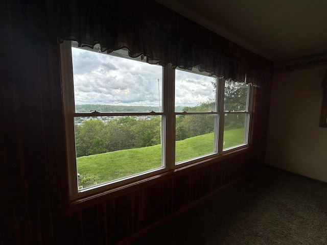 3049 Palace Heights Ln NW, Malta, OH 43758 - detailed view of carpet