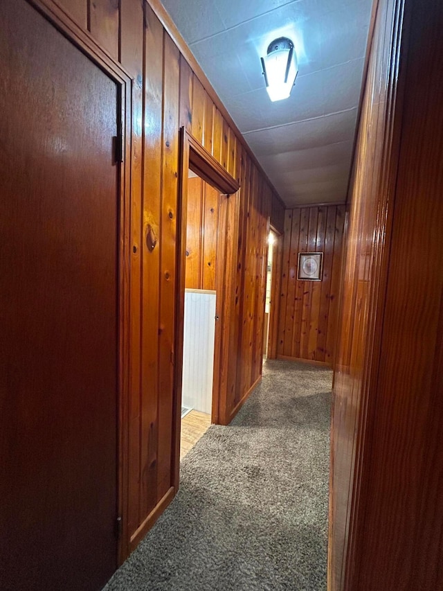3049 Palace Heights Ln NW, Malta, OH 43758 - hall with carpet floors and wood walls