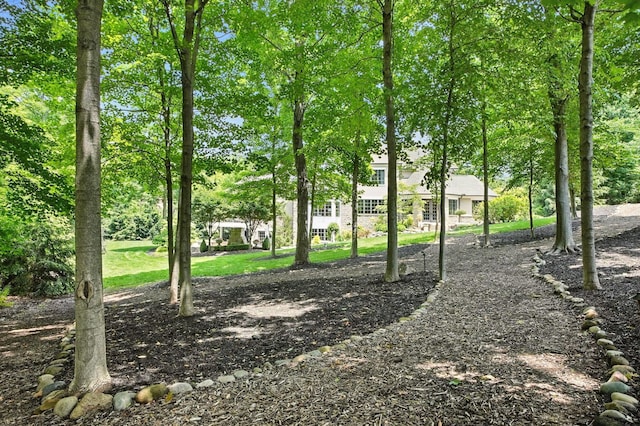 4960 Hawthorne Valley Dr, Westerville, OH 43082 - photo 55