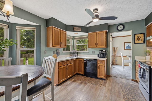 388 Slate Run Dr, Powell, OH 43065 - kitchen with black dishwasher, a sink, electric range, light wood finished floors, and plenty of natural light