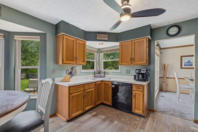 388 Slate Run Dr, Powell, OH 43065 - kitchen featuring black dishwasher, a sink, light countertops, light wood-type flooring, and a ceiling fan