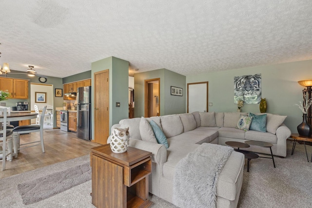 388 Slate Run Dr, Powell, OH 43065 - living room featuring light wood finished floors and a textured ceiling