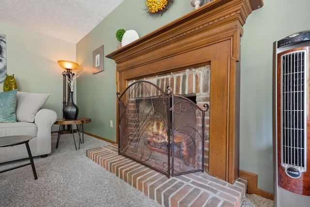 388 Slate Run Dr, Powell, OH 43065 - detailed view of carpet floors, baseboards, and a textured ceiling