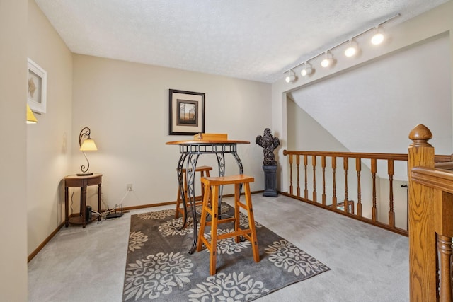 388 Slate Run Dr, Powell, OH 43065 - living area featuring carpet flooring, track lighting, a textured ceiling, and baseboards