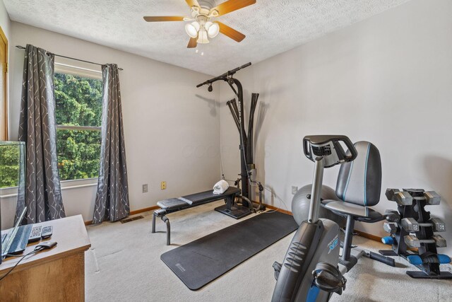388 Slate Run Dr, Powell, OH 43065 - workout area with carpet flooring, a textured ceiling, a ceiling fan, and baseboards