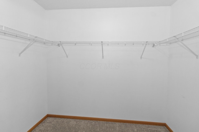 3040 Seney Rd Unit 912, Chillicothe, OH 45601 - walk in closet with carpet flooring