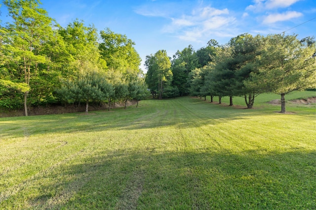 3040 Seney Rd Unit 912, Chillicothe, OH 45601 - view of green lawn