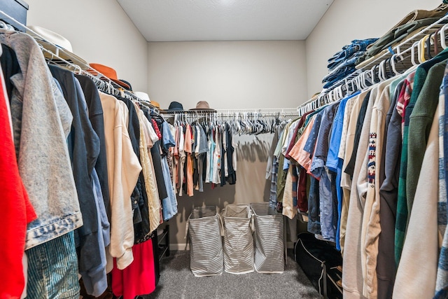 206 Rochdale Run, Delaware, OH 43015 - spacious closet with carpet