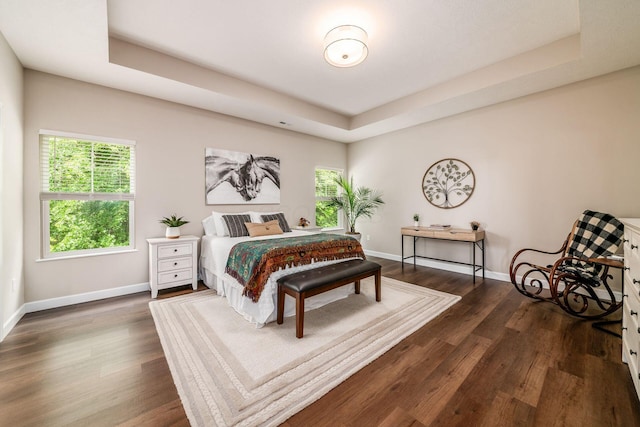 3446 Joberry Loop, Grove City, OH 43123 - bedroom featuring dark wood-style flooring, a raised ceiling, and baseboards