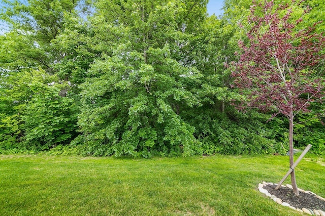 3446 Joberry Loop, Grove City, OH 43123 - view of green lawn