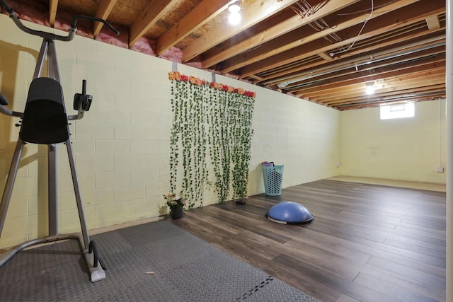 982 Margate Cir, London, OH 43140 - workout room featuring wood finished floors and concrete block wall