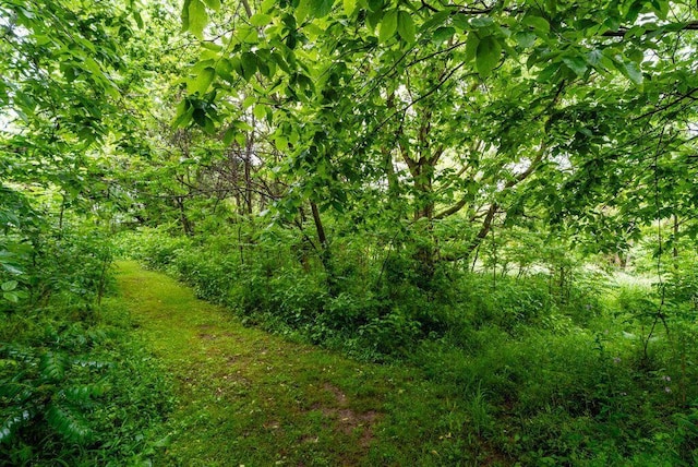 841 Township Highway 52, Nevada, OH 44849 - view of tree filled area