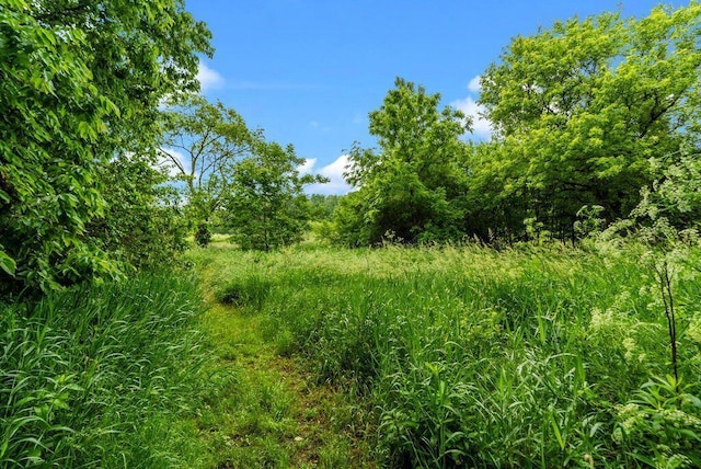 841 Township Highway 52, Nevada, OH 44849 - view of undeveloped land