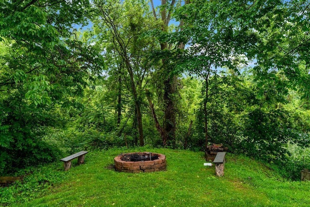 841 Township Highway 52, Nevada, OH 44849 - view of green lawn with a fire pit