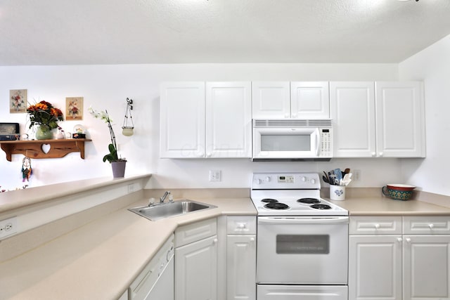 324 Lost River Dr, Blacklick, OH 43004 - photo 9