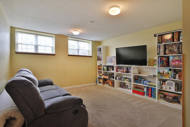 324 Lost River Dr, Blacklick, OH 43004 - photo 23