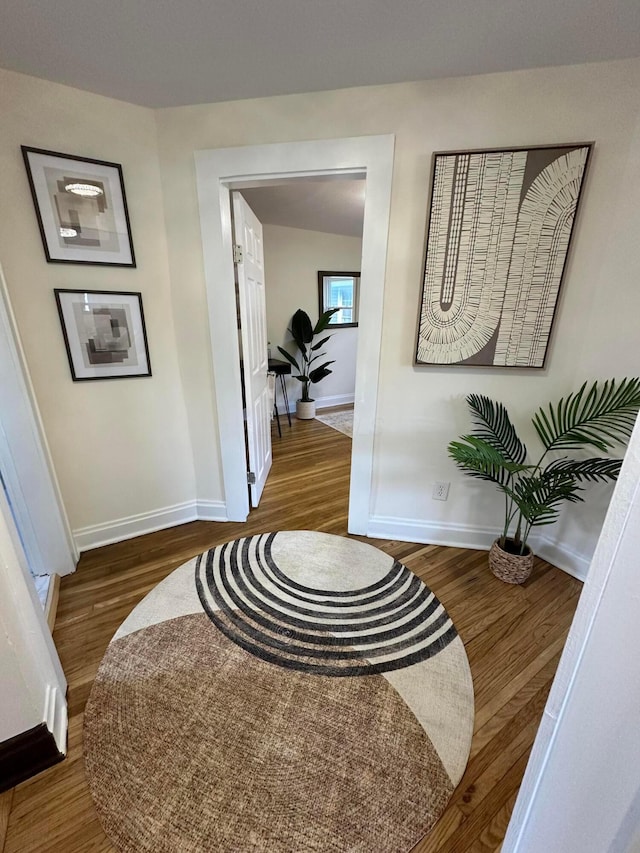 1156 S Champion Ave, Columbus, OH 43206 - hallway featuring wood finished floors and baseboards