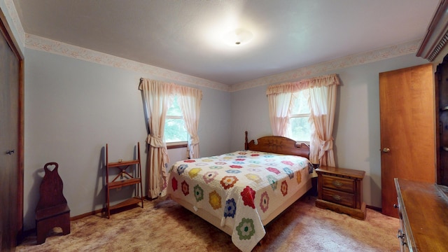 1371 Township Road 200, Bellefontaine, OH 43311 - bedroom featuring light colored carpet, multiple windows, and baseboards