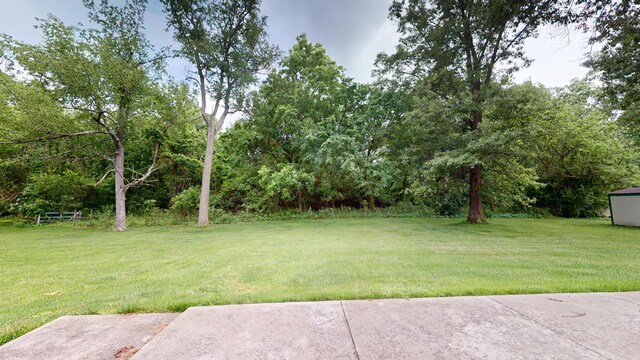 1371 Township Road 200, Bellefontaine, OH 43311 - view of green lawn