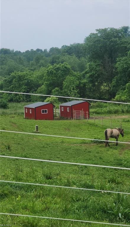 7360 Jones Rd, Nashport, OH 43830 - view of yard with an outbuilding, a wooded view, and a rural view