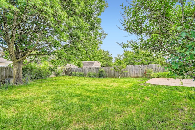 5827 Chanwick Dr, Galloway, OH 43119 - view of yard