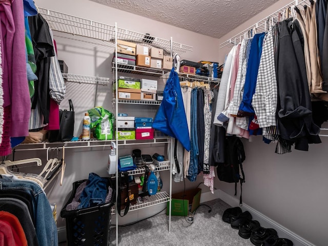 1835 Plains Blvd, Powell, OH 43065 - walk in closet featuring carpet floors