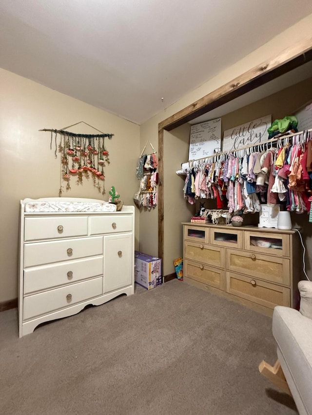 1775 Shoshoni Dr, Circleville, OH 43113 - bedroom featuring carpet flooring