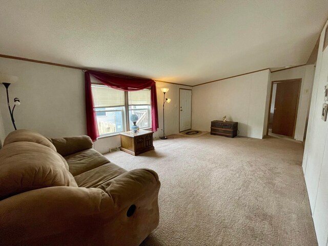 902 State Route 61 Lot # 92, Marengo, OH 43334 - living area featuring carpet flooring, a textured ceiling, and crown molding