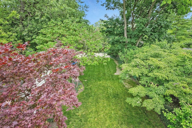 202 N Stanwood Rd, Bexley, OH 43209 - view of nature