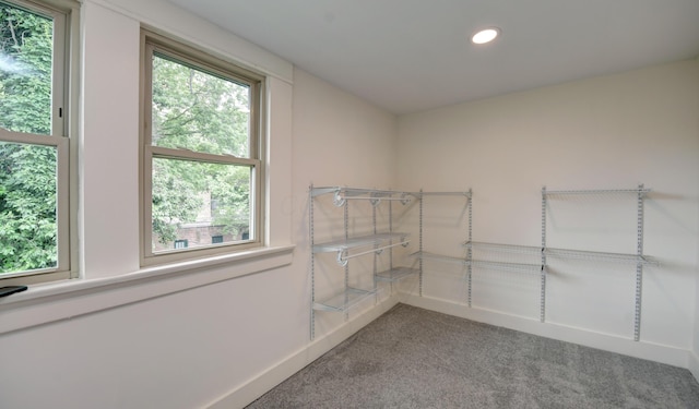 39 Auburn Ave, Columbus, OH 43205 - spacious closet featuring light colored carpet