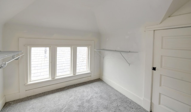 39 Auburn Ave, Columbus, OH 43205 - walk in closet featuring light carpet and vaulted ceiling