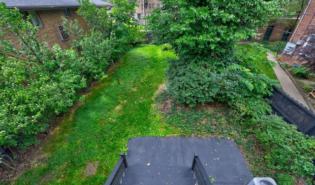 39 Auburn Ave, Columbus, OH 43205 - view of yard