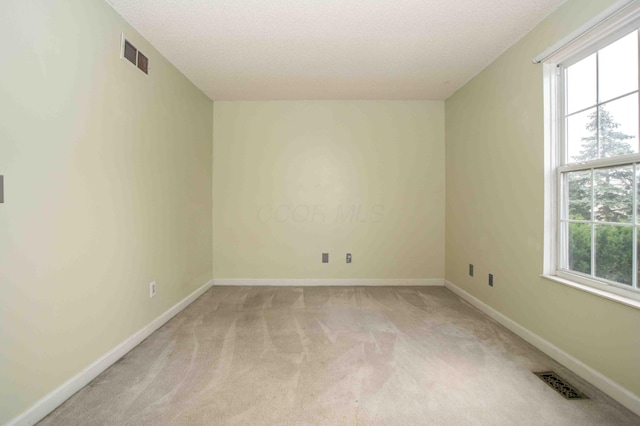 2043 Coleman Dr Unit 6F, Columbus, OH 43235 - spare room featuring light colored carpet, plenty of natural light, a textured ceiling, and baseboards