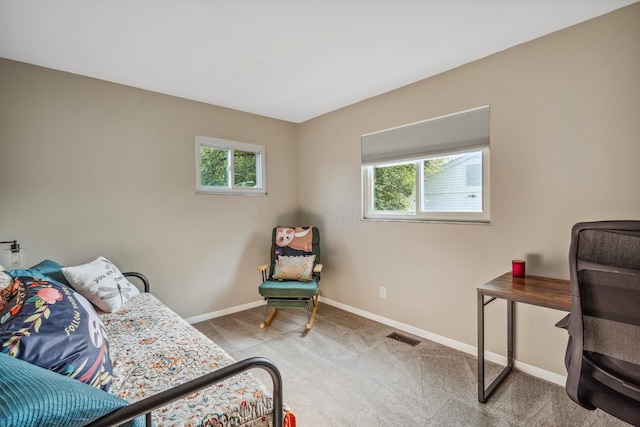 5452 Roche Ct W, Columbus, OH 43229 - carpeted bedroom with multiple windows