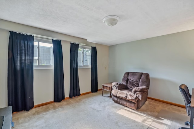 5452 Roche Ct W, Columbus, OH 43229 - sitting room featuring carpet and baseboards
