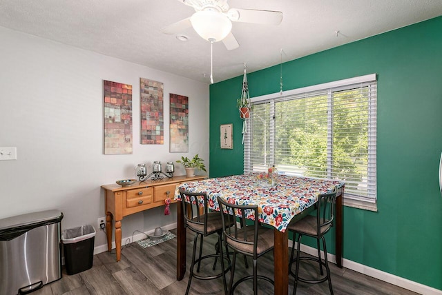 6563 Karl Rd, Columbus, OH 43229 - dining room with wood finished floors, ceiling fan, and healthy amount of natural light