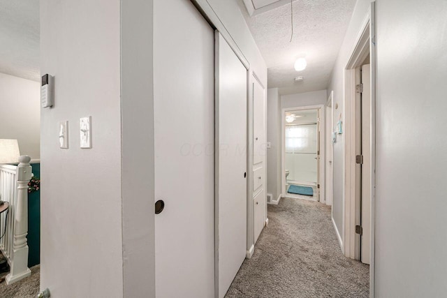 6563 Karl Rd, Columbus, OH 43229 - hall featuring a textured ceiling, light carpet, and attic access