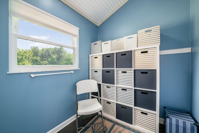 6545 Steitz Rd, Powell, OH 43065 - photo 76