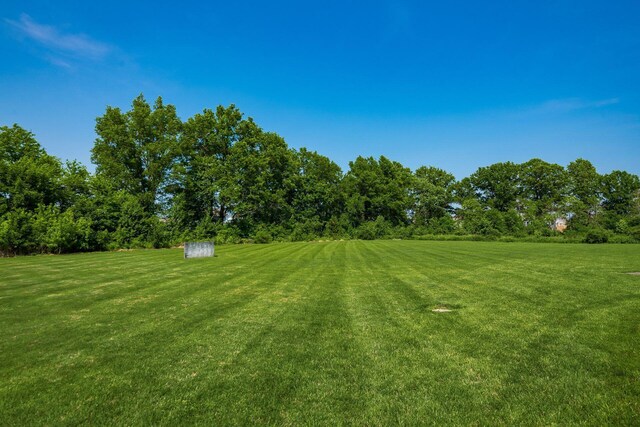 6545 Steitz Rd, Powell, OH 43065 - photo 113