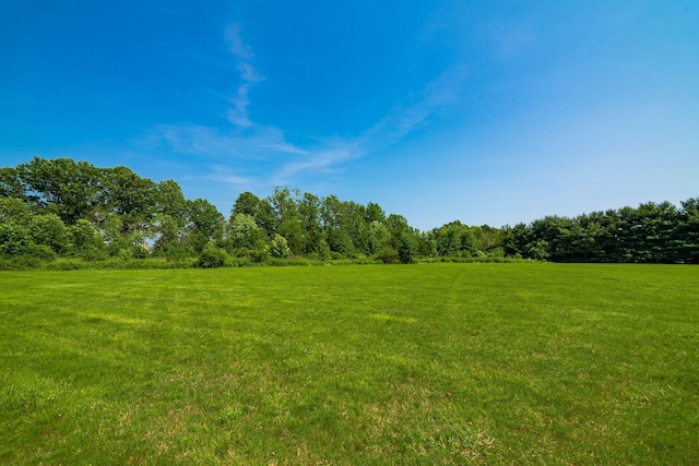 6545 Steitz Rd, Powell, OH 43065 - photo 112