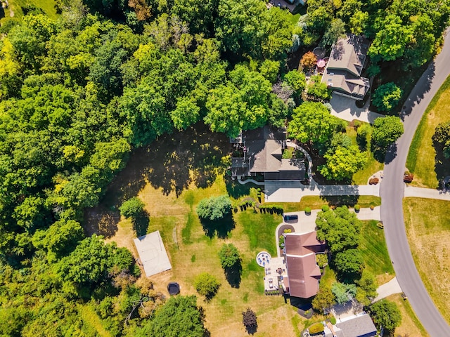 5839 Ketch St, Lewis Center, OH 43035 - bird's eye view