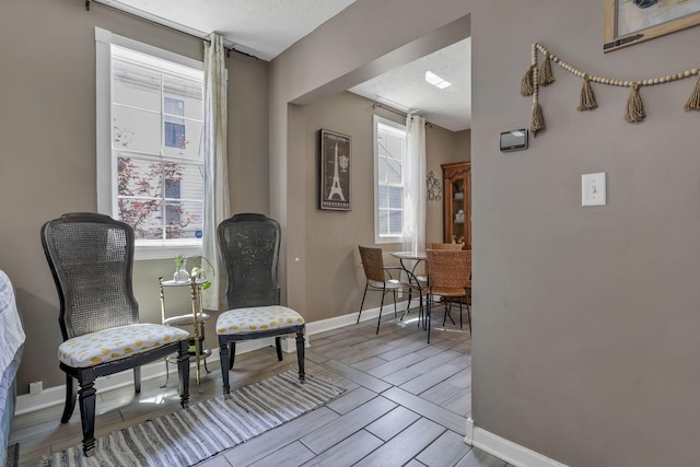 107 N Factory St, Baltimore, OH 43105 - living area with wood finish floors
