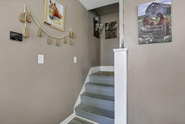107 N Factory St, Baltimore, OH 43105 - staircase featuring baseboards