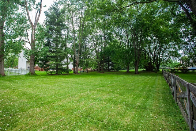690 Cheshire Rd, Delaware, OH 43015 - photo 63