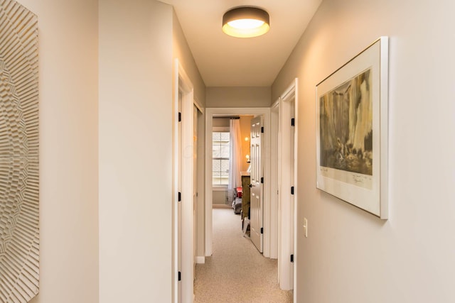 5893 Dunheath Loop, Dublin, OH 43016 - corridor with light colored carpet