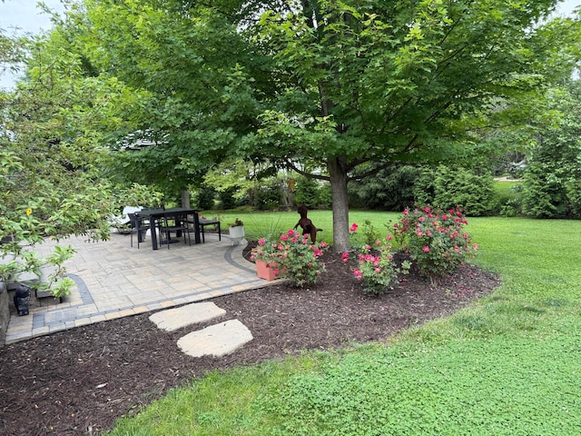 5893 Dunheath Loop, Dublin, OH 43016 - view of grassy yard with a patio