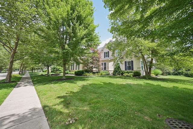 5893 Dunheath Loop, Dublin, OH 43016 - view of property hidden behind natural elements featuring a front yard and stucco siding