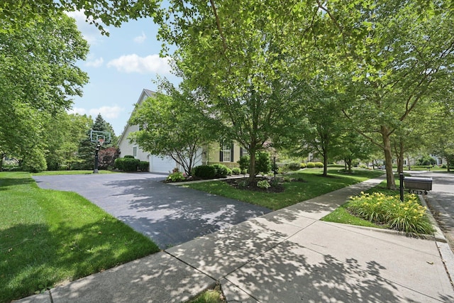 5893 Dunheath Loop, Dublin, OH 43016 - view of property hidden behind natural elements featuring a front lawn, asphalt driveway, and a garage