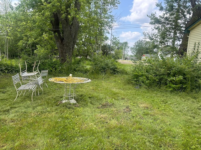 7365 Hayden Run Rd, Hilliard, OH 43026 - view of yard