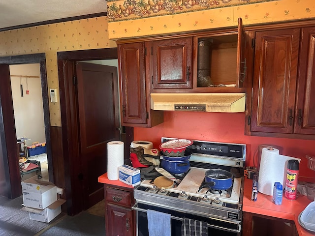 7365 Hayden Run Rd, Hilliard, OH 43026 - kitchen with range, crown molding, wallpapered walls, and under cabinet range hood
